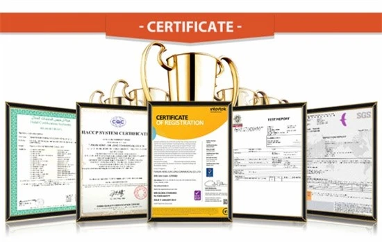 17201433251591